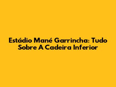 Estádio Mané Garrincha: Tudo Sobre A Cadeira Inferior