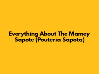 Everything About The Mamey Sapote (Pouteria Sapota)