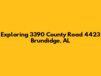 Exploring 3390 County Road 4423 Brundidge, AL