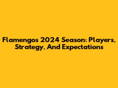 Flamengo's 2024 Season: Players, Strategy, And Expectations