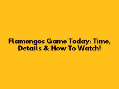 Flamengo's Game Today: Time, Details & How To Watch!