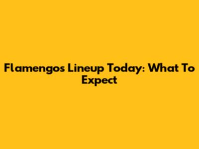 Flamengo's Lineup Today: What To Expect