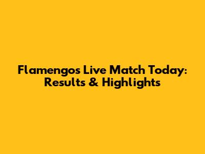 Flamengo's Live Match Today: Results & Highlights