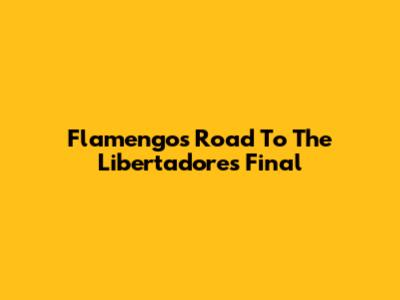 Flamengo's Road To The Libertadores Final