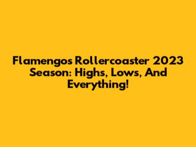 Flamengo's Rollercoaster 2023 Season: Highs, Lows, And Everything!