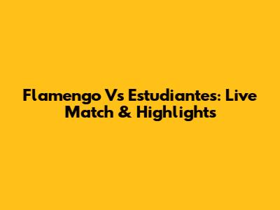 Flamengo Vs Estudiantes: Live Match & Highlights