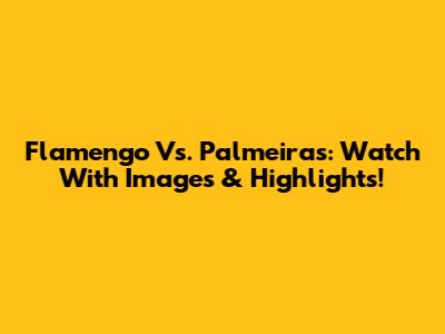 Flamengo Vs. Palmeiras: Watch With Images & Highlights!