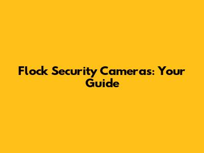 Flock Security Cameras: Your Guide