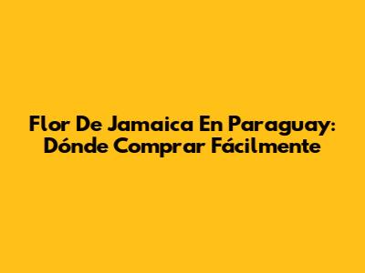 Flor De Jamaica En Paraguay: Dónde Comprar Fácilmente