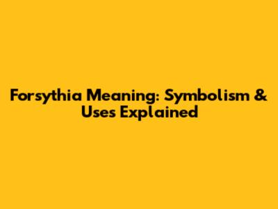 Forsythia Meaning: Symbolism & Uses Explained