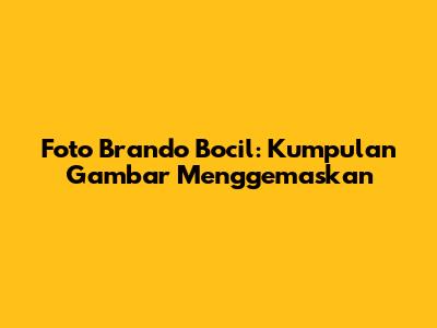 Foto Brando Bocil: Kumpulan Gambar Menggemaskan
