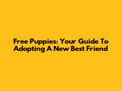 Free Puppies: Your Guide To Adopting A New Best Friend