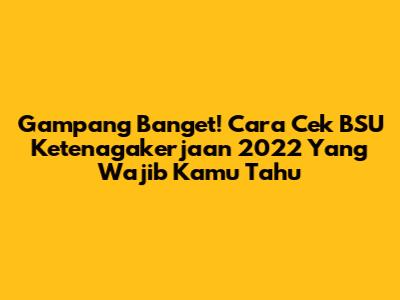 Gampang Banget! Cara Cek BSU Ketenagakerjaan 2022 Yang Wajib Kamu Tahu