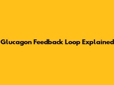 Glucagon Feedback Loop Explained