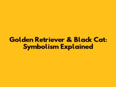 Golden Retriever & Black Cat: Symbolism Explained