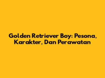 Golden Retriever Boy: Pesona, Karakter, Dan Perawatan