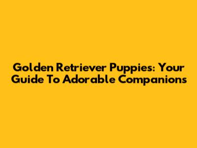 Golden Retriever Puppies: Your Guide To Adorable Companions