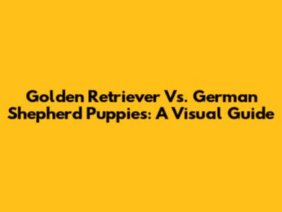 Golden Retriever Vs. German Shepherd Puppies: A Visual Guide