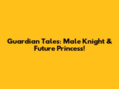 Guardian Tales: Male Knight & Future Princess!