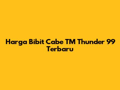 Harga Bibit Cabe TM Thunder 99 Terbaru