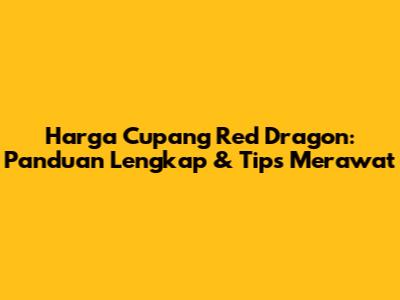 Harga Cupang Red Dragon: Panduan Lengkap & Tips Merawat