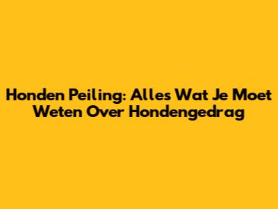 Honden Peiling: Alles Wat Je Moet Weten Over Hondengedrag