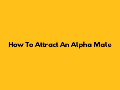 How To Attract An Alpha Male