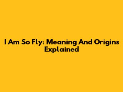 I Am So Fly: Meaning And Origins Explained