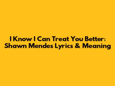I Know I Can Treat You Better: Shawn Mendes Lyrics & Meaning