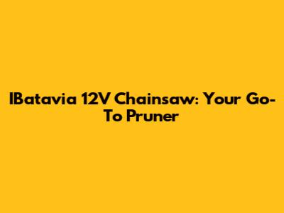 IBatavia 12V Chainsaw: Your Go-To Pruner