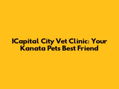 ICapital City Vet Clinic: Your Kanata Pet's Best Friend
