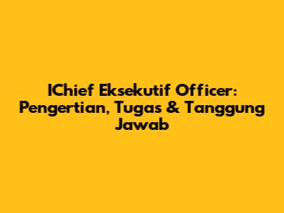 IChief Eksekutif Officer: Pengertian, Tugas & Tanggung Jawab