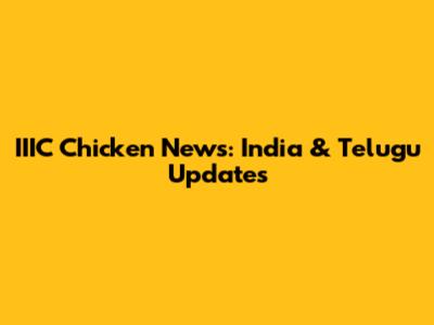 IIIC Chicken News: India & Telugu Updates