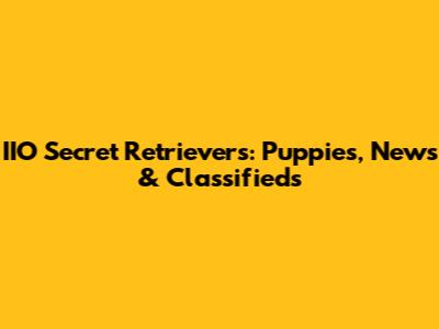 IIO Secret Retrievers: Puppies, News & Classifieds
