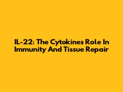 IL-22: The Cytokine's Role In Immunity And Tissue Repair