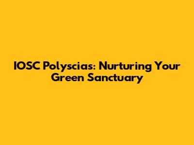 IOSC Polyscias: Nurturing Your Green Sanctuary