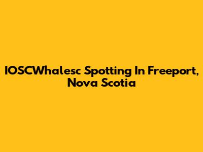 IOSCWhalesc Spotting In Freeport, Nova Scotia