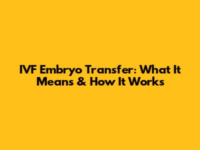 IVF Embryo Transfer: What It Means & How It Works