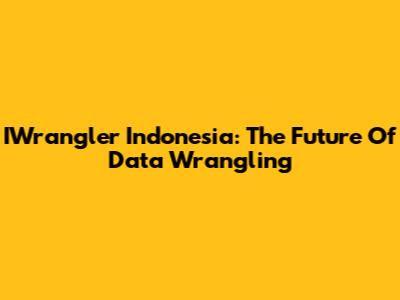 IWrangler Indonesia: The Future Of Data Wrangling