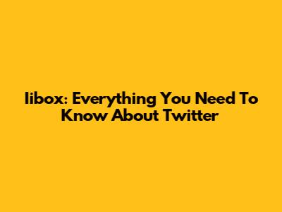 Iibox: Everything You Need To Know About Twitter