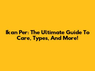 Ikan Per: The Ultimate Guide To Care, Types, And More!