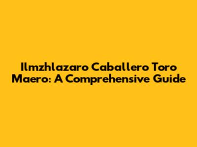 Ilmzhlazaro Caballero Toro Maero: A Comprehensive Guide