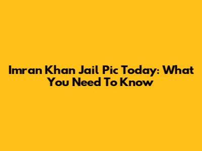 Imran Khan Jail Pic Today: What You Need To Know