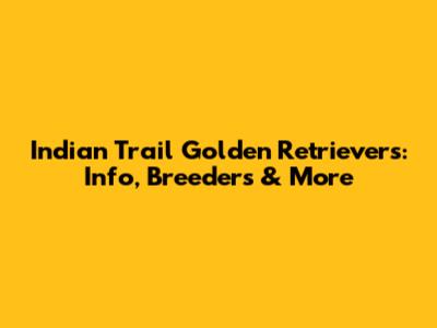 Indian Trail Golden Retrievers: Info, Breeders & More