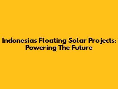 Indonesia's Floating Solar Projects: Powering The Future