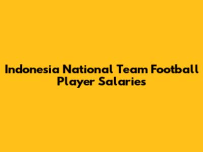 Indonesia National Team Football Player Salaries