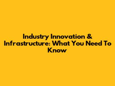 Industry Innovation & Infrastructure: What You Need To Know