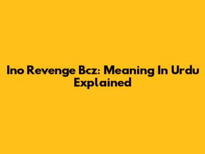 Ino Revenge Bcz: Meaning In Urdu Explained
