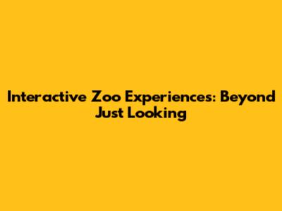 Interactive Zoo Experiences: Beyond Just Looking