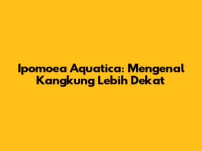 Ipomoea Aquatica: Mengenal Kangkung Lebih Dekat